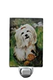 Lhasa apso Dog Night Light – Best Friends by Ruth Maystead (lha-10nl)