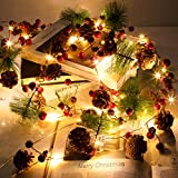 Litake 2 Pezzi Ghirlanda Luminosa di Pigne di Natale, 20 LEDs Totale 4M Luci Stringa di Pigna con Campana di ...