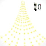 litogo 324 LED Luci di Natale da Esterno con Stella, 9*3.2M Bianco Caldo Luci Natalizie da Esterno/Interno con Telecomando 8 ...