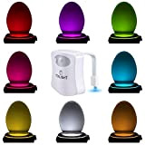 Luce a LED per la Tazza del WC: Simpatica Lampada Attivata da un Sensore di Movimento. Novità nei Gadget Luminosi ...