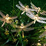 Luce solare della stringa della libellula 100 LED 2 modalità di illuminazione Luce impermeabile del prato inglese del giardino esterno ...