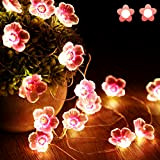 Luci a forma di fiore rosa con fiore di ciliegio, 40 LED USB e luci decorative a batteria, per camera ...