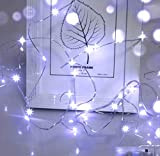 Luci LED Batteria,Cshare Catena Luminosa 3m 30 LED Rame filo Ghirlanda Catena Luminose Lucine Fata Luci Decorative Waterproof per Camere ...