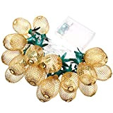Lurrose - Catena di luci decorative a forma di ananas tropicale, alimentate a batteria, 10 LED, per interni ed esterni, ...