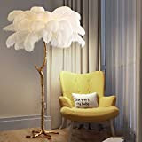 Modern Luxury Ostrich Feather Floor Lamp, LED 3 Colors Dimmable Tall Corner Lamp, Romantic Living Room Decorative Standing Lamp, Reading ...