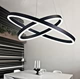 Moderno semplice acrilico alluminio Ombra LED gradazione graduale 2 anello rotonda lampadario per ristorante, camera, studio, luce, 2-ring 40 * ...
