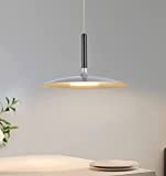 Modlicht Lampada a sospensione Siege, moderna industriale, 5W LED con 500LM, colore della luce bianco caldo, Ø25cm, regolabile in altezza, ...