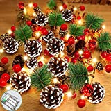 Natale Ghirlanda – 2M 20LED Ghirlanda Natalizia Bacca Rossa Natale Ghirlanda di Pino, luci a LED alimentate a batteria per ...