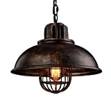 NIUYAO Lampada a Sospensione Paralume con Griglia Metallo Lampadari Stile Retro Industriale Ceiling Light 1 Luce-Rust