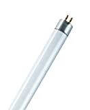 Osram Lumilux T5 HE 21 W/840 Lampada fluorescente (1 Pezzo)