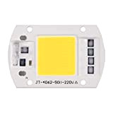 OurLeeme 100W 220V LED COB Chip Smart IC Driver per proiettore Spotlight, Circuito Integrato del LED bianco lampadina ad alta ...