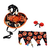 PAPABA Copricapo in Poliestere per Animali Domestici Halloween con Bicchieri con bavagie Set Decorativo Ultralight Imposta M