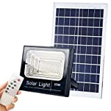 Proiettore LED solare 25 W 500 lm 6000 K 3,2 V/5,5 Ah