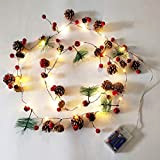 Queta - Ghirlanda di lampadine con 20 luci a LED, aghi, pigne e bacche rosse, alimentazione a batteria, ideale come ...