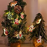 Reshowerle X-mas ha condotto la luce della stringa della fata, decorazione di illuminazione di Natale alimentata a batteria per il ...