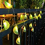 Riaxuebiy Ghirlanda artificiale per kiwi, 3 m, 20 LED, 3D, a forma di frutti falsificati, da appendere, per matrimonio, giardino, ...
