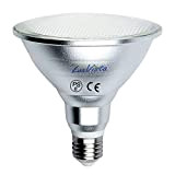 Riflettore Lampadina LED 15W E27 PAR38 Edison Vite Bianco caldo 3000K Lampadina luce di inondazione per ricambio incandescente 150W by ...