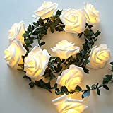 Rosa catene luminose con foglie verdi, Runaup 3M/9,81piedi 20 LED bianco caldo luci natalizie con fiori in rattan, batteria caricata ...