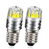 Ruiandsion 2pcs 2W COB 6V E10 LED sostituzione lampadina per torcia torcia, bianco