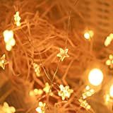 Salcar 10m 100 LEDs Catena Luminosa Luci,USB Luci stringa LED Filo di rame Fata Luce natalizia