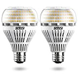 SANSI 22W lampadina LED equivalente 200W, Energetico lampadine led e27 luce calda 3000K, 3000lm, non dimmerabile, confezione da 2, Adatto ...