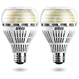 SANSI 22W lampadina LED equivalente 200W, lampadine led e27 luce Fredda 5000K, 3000lm Lampadine a risparmio energetico, non dimmerabile, confezione ...