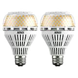 SANSI Lampadine LED E27, 27W lampadina a LED equivalente 250W, Dimmerabile, 3000K Luce Bianca Calda lampade led, 4000lm, 2 Pezzi
