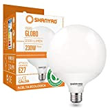 Shanyao - Basics lampadina Globo LED G120 24W classe F (sostituisce 230W) con attacco E27, 2330lumen, Non dimmerabile, luce Calda ...