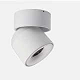 SHAOYH Moderna 7W9W Lampada da parete Spotlight Lampada da soffitto LED Parete Limelight Nordica Regolabile Sfondo semplice Limelight Fotografato Passage ...