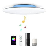 Stellato 48W Φ50cm Plafoniera LED Compatibile Amazon Alexa Google Home Con Bluetooth Altoparlante Telecomando Luce Regolabile Cambia Colore RGB Lampada ...