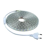 Strisce LED SMD5050 60 LED/M 220v (3M Luce Fredda) 6000k Decorazione di illuminazione IP65 Impermeabile Con Spina ONSSI LED