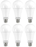 Sylvania GLS - Lampadina LED smerigliata, E27, 20 W, 2452 lumen, bianco caldo 2700 K, confezione da 6