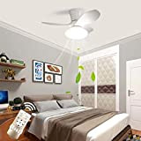 Ventilatore da soffitto con illuminazione, lampada con ventilatore, silenzioso LED con telecomando, timer, ventilatore da soffitto con luce, velocità del ...