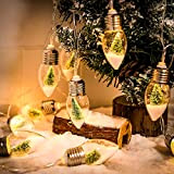 VIPNAJI Catene luminose Esterno LED, LED luci Stringa di Natale, 2M Catena Luminosa,Lucine da Decorative,Decorazione di Natale,Impermeabile IP65 per Giardino ...