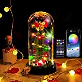 Viugreum Albero di Natale Piccolo, con RGB Luci a LED, Idee Regalo Natale Luci di Natale, 19.5 cm, Supporta APP ...