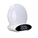 Wake Up Light Sunrise Alarm Clock, Projection Alarm Clock LED Table Lamp, Digital Smart Alarm Clock with FM Radio USB ...