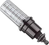 Waldmann Light – Luminaria macchina del tubo 1 x 18 W 24 V 118 awdce