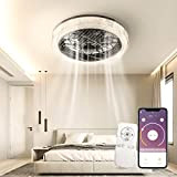 WAYRANK Ventilatore da Soffitto con Luce Dimmerabile, 65W LED Plafoniera con Ventilatore con Telecomando e Controllo APP, Moderno Lampadario Ventilatore ...