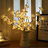 Winnes Rami luminosi a LED, decorazione per feste e Natale Lampada da parete a LED,a 20 LED a luce ricaricabile ...