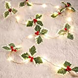 Wlevzzor Luci di Natale, 20 LED 2M ghirlanda di Natale con le luci a batteria, rosso bacche verdi foglie LED ...