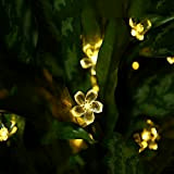 WXQY Luci della stringa delle fiabe LED luci della stringa della decorazione del partito dell'albero di Natale del giardino del ...