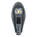 Zerodis Illuminazione Stradale LED, Lampada LED Luce Diffusa in Alluminio Illuminazione al Crepuscolo Impermeabile IP65 Proiettore per Esterno Passerella Giardino ...